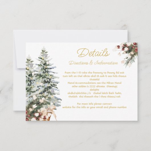 Kerst Vakantie Winter Bruiloft Details Info Kaart (Voorkant)