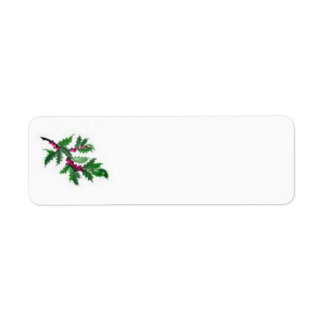 Kerst-/vakantieadreslabel Etiket