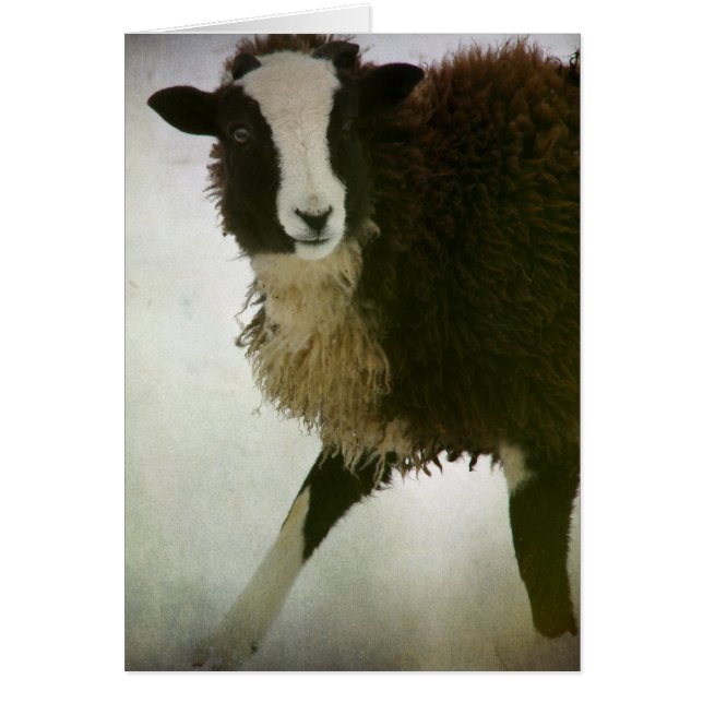 Kerst van ambchops (Voorkant)