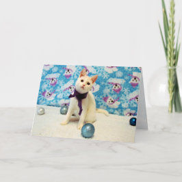 Kerst van Audrey - Cat / Kitten Holiday Kaart