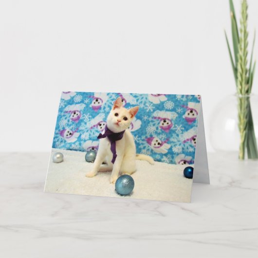 Kerst van Audrey - Cat / Kitten Holiday Kaart (Voorkant)