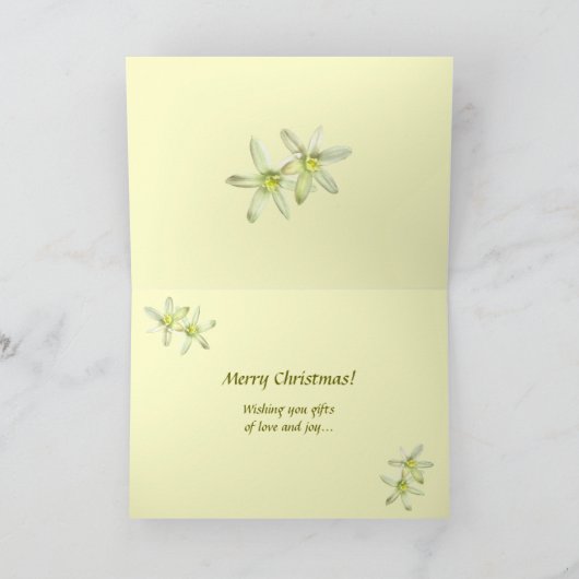 Kerst van Bethlehem Feestdagen Kaart (Binnen)