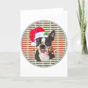 Kerst van Boston Terrier Feestdagen Kaart