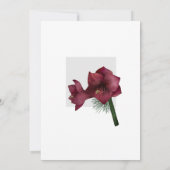 Kerst van de Bourgogne Amaryllis 21e verjaardag Kaart (Achterkant)
