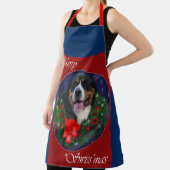 Kerst van de grote Zwitserse berghond Schort (Insitu)