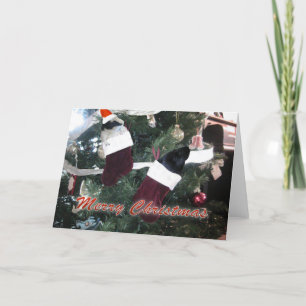 Kerst van de parelhoes feestdagen kaart