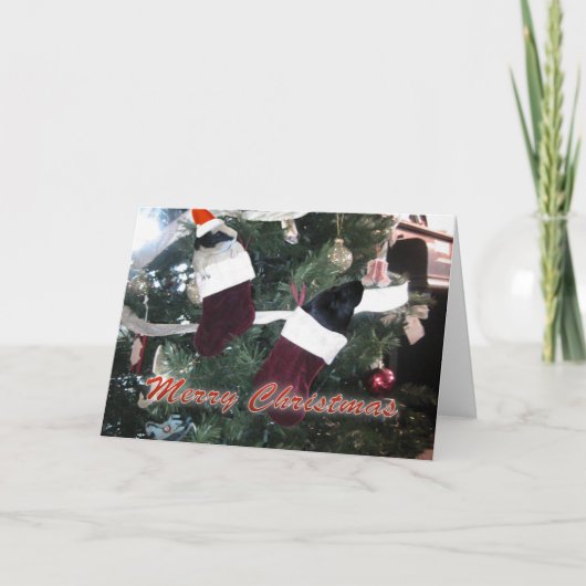 Kerst van de parelhoes feestdagen kaart (Voorkant)