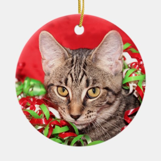 Kerst van de Tabby Keramisch Ornament (Voorkant)