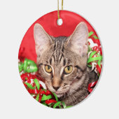 Kerst van de Tabby Keramisch Ornament (Links)