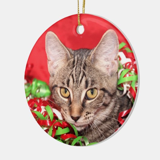 Kerst van de Tabby Keramisch Ornament (Links)