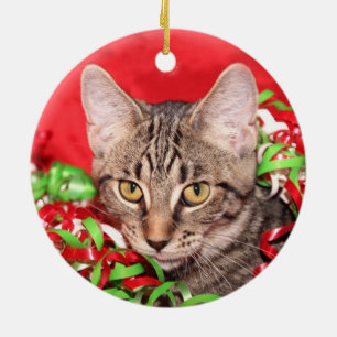 Kerst van de Tabby Keramisch Ornament
