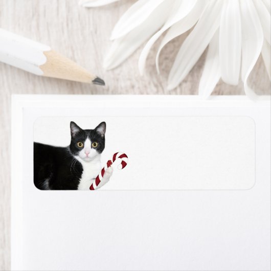 Kerst van de zwarte en witte kat etiket (Insitu)