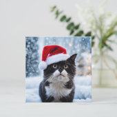 Kerst van de zwarte en witte kat feestdagenkaart (Staand voorkant)