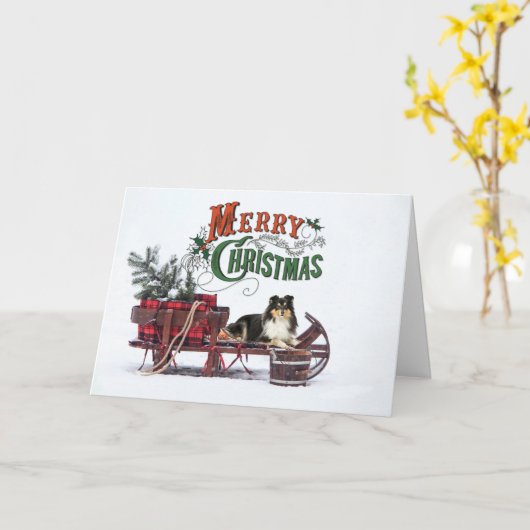 Kerst van Tri Color Sheltie Kaart (Gele Bloem)