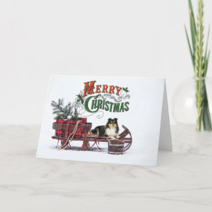 Kerst van Tri Color Sheltie Kaart