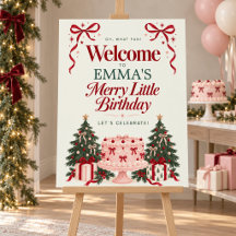 Kerst Verjaardag Roze Cake Boog Welkom Bord