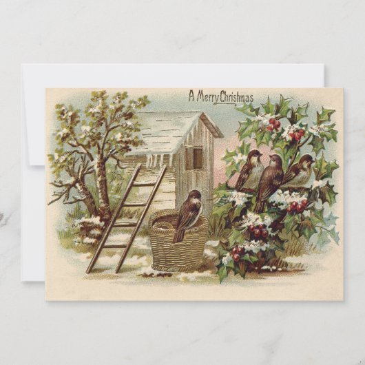 Kerst Vogel Hulst Sneeuw Ladder Oogst Kaart (Voorkant)
