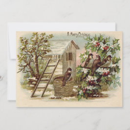 Kerst Vogel Hulst Sneeuw Ladder Oogst Kaart