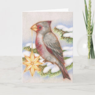 Kerst Vogel Woestijn Kardinaal Ster Ornament Kaart