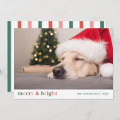 Kerst Vrolijk en Helder Roze Rood Groen Foto Notitiekaartje (Voorkant / Achterkant)