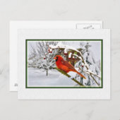 Kerst, Winter, Kardinaal Vogel, Sneeuw, Briefkaart (Voorkant / Achterkant)