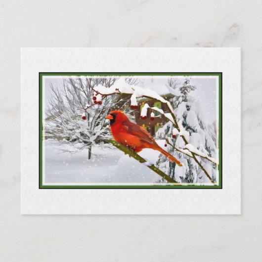 Kerst, Winter, Kardinaal Vogel, Sneeuw, Briefkaart (Voorkant)