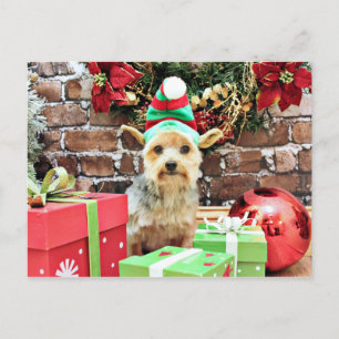 Kerst - Yorkie - Vinnie #32 Feestdagenkaart