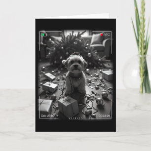 Kerst Yorkshire Terrier Vangen Op Camera Kaart