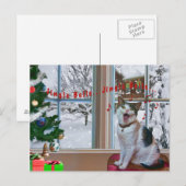 Kerst, Zingende Kat, Sneeuw, Briefkaart (Voorkant / Achterkant)