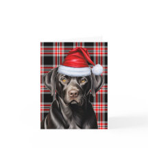 Kerst Zwart Lab en Rode Vakantie Plaid