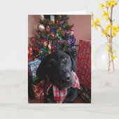 Kerst - Zwart Lab Kaart (Gele Bloem)