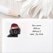 Kerst zwart Poodle Adresetiketten Etiket (Insitu)