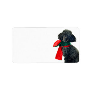 Kerst Zwart Speelgoed Poodle Dog Rendier Rode sjaa Etiket