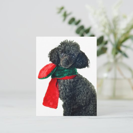 Kerst Zwart Speelgoed Poodle Dog Rendier Rode sjaa Feestdagenkaart (Staand voorkant)