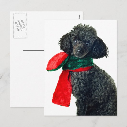 Kerst Zwart Speelgoed Poodle Dog Rendier Rode sjaa Feestdagenkaart (Voorkant / Achterkant)