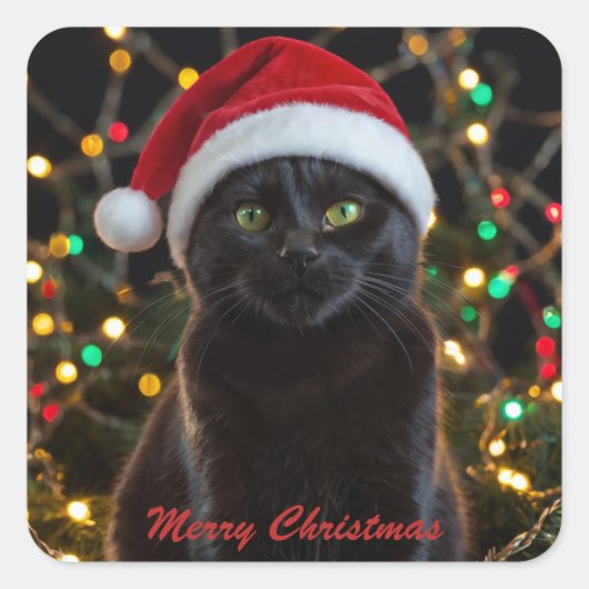 Kerst Zwarte Kat - Santa Hat Gepersonaliseerde fot Vierkante Sticker (Voorkant)