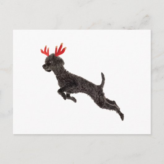 Kerst Zwarte Speelgoed Poedel Hond Rendier Antlers Feestdagenkaart (Voorkant)