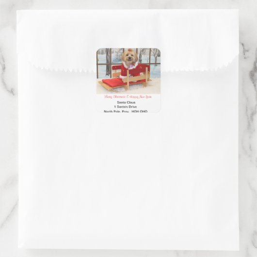 Kerstadres Stickers (Tas)