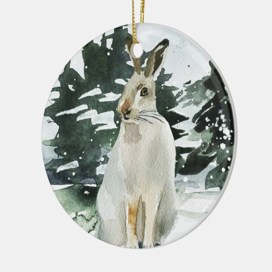Kerstajaars versiering winterhare decoratie (Links)