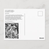 KerstaKaart van Majestic Mountain Forest Woodland Briefkaart (Achterkant)