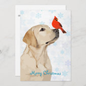 Kerstakardinaal met geel lab - Cute Labrador Dog Kaart (Voorkant / Achterkant)