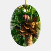 Kerstakerversiering kokokosnoot keramisch ornament (Voorkant)