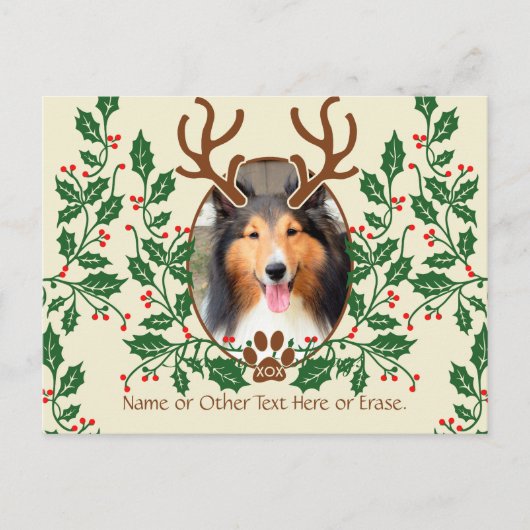 KerstAntlers voor honden/katten - Persoonlijke fot Feestdagenkaart (Voorkant)