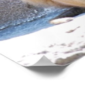 Kerstapen en Bavianen Poster (Hoek)