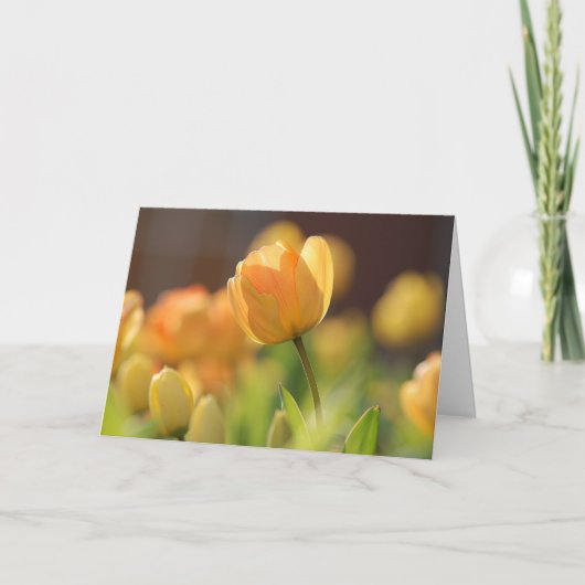 Kerstartikelen - Lente Gele Bloemen Kaart (Voorkant)