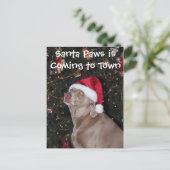 Kerstavond Kaart in de Regen - Dog/Weimaraner (Staand voorkant)