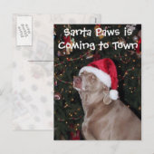 Kerstavond Kaart in de Regen - Dog/Weimaraner (Voorkant / Achterkant)