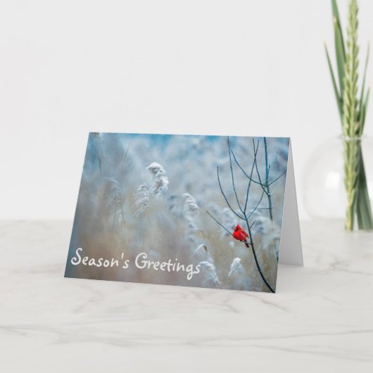 Kerstavond kerstkaart van Kardinaal Seizoen Kaart (Voorkant)