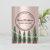 Kerstavond Menu Winter Lichtgroene Roos (Staand voorkant)