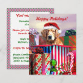 Kerstavond met Gouden Herriever Kaart (Voorkant / Achterkant)